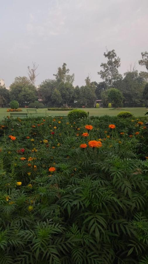 Maplewood Guest House, Neeti Bagh, New Delhiit Is A Boutiqu Guest House - Room 5 المظهر الخارجي الصورة